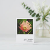 Square Foto 0506 - African Daisy Visitenkarte (Stehend Vorderseite)