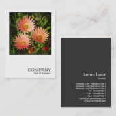 Square Foto 0507 - African Daisies Visitenkarte (Vorne/Hinten)