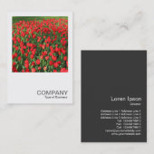 Square Foto 0511 - Bed of Red Tulips 02 Visitenkarte (Vorne/Hinten)