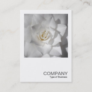 Square Foto 0512 - White Camellia Visitenkarte