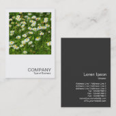 Square Foto 0513 - Daisy Meadow Visitenkarte (Vorne/Hinten)