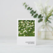 Square Foto 0513 - Daisy Meadow Visitenkarte (Stehend Vorderseite)