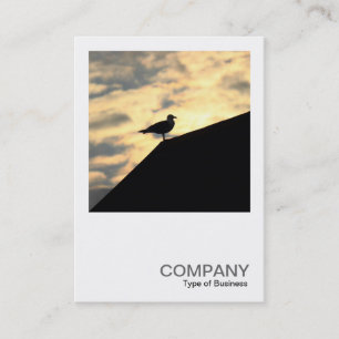 Square Foto 0514 - Hering Gull Sunset Visitenkarte
