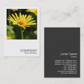 Square Foto 0542 - Gelbe Daisy Visitenkarte (Vorne/Hinten)