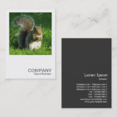Square Foto 0552 - Gray Squirrel Eating Nuts Visitenkarte (Vorne/Hinten)