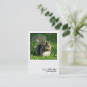 Square Foto 0552 - Gray Squirrel Eating Nuts Visitenkarte (Stehend Vorderseite)