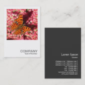 Square Foto 0553 - Comma Butterfly on Sedum Visitenkarte (Vorne/Hinten)