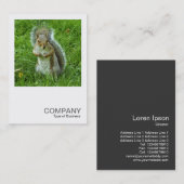 Square Foto 0553 - Started Gray Eichhörnchen Visitenkarte (Vorne/Hinten)