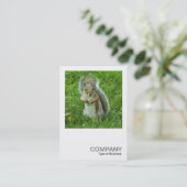 Square Foto 0553 - Started Gray Eichhörnchen Visitenkarte (Stehend Vorderseite)