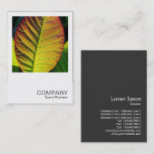 Square Foto 0559 - Farbiges Leaf Visitenkarte (Vorne/Hinten)