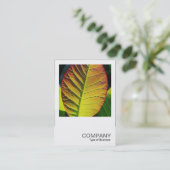 Square Foto 0559 - Farbiges Leaf Visitenkarte (Stehend Vorderseite)
