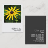 Square Foto 0587 - Rudbeckia hirta Visitenkarte (Vorne/Hinten)