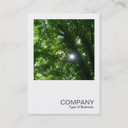 Square Foto 093 - Sonne in den Bäumen Visitenkarte (Vorderseite)