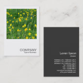 Square Foto 2001 - Affodils/Narcissus Visitenkarte (Vorne/Hinten)