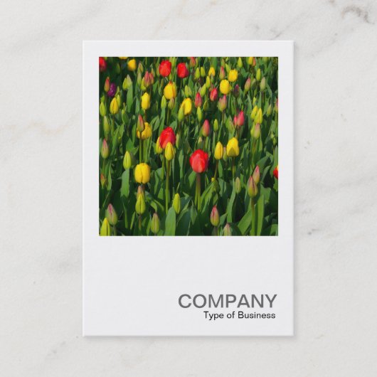 Square Foto 2002 - Farbenfrohe Tulips Visitenkarte (Vorderseite)