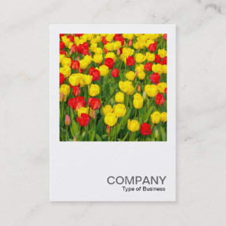 Square Foto 2019 - Tulips Visitenkarte