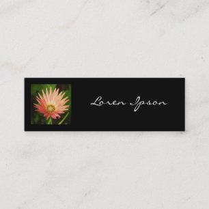 Square Foto - African Daisy Mini Visitenkarte