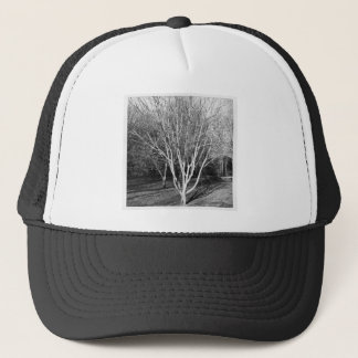 Square Foto - Baum Truckerkappe