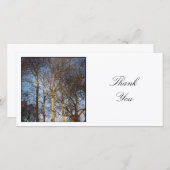 Square Foto - Bäume Dankeskarte (Vorne/Hinten)