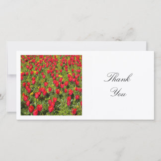 Square Foto - Bett aus roten Tulpen Dankeskarte
