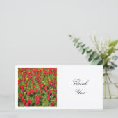 Square Foto - Bett aus roten Tulpen Dankeskarte (Stehend Vorderseite)