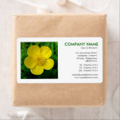 Square Foto - Buttercup (Insitu)