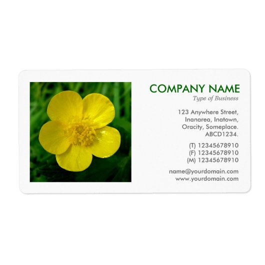 Square Foto - Buttercup (Vorne)