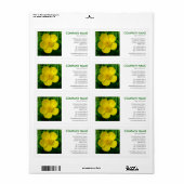 Square Foto - Buttercup (Vorne)