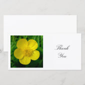 Square Foto - Buttercup Dankeskarte (Vorne/Hinten)