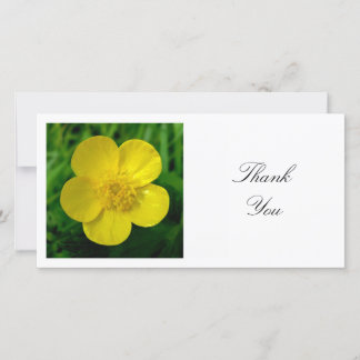 Square Foto - Buttercup Dankeskarte