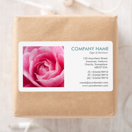 Square Foto - Camelia (Insitu)