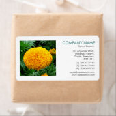 Square Foto - Chrysanthemum (Insitu)