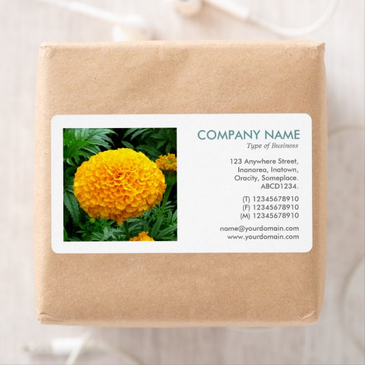 Square Foto - Chrysanthemum (Insitu)