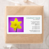 Square Foto - Daffodil (Insitu)