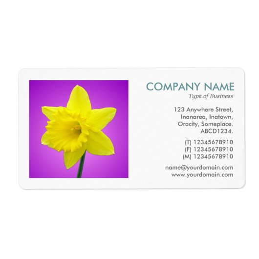 Square Foto - Daffodil (Vorne)