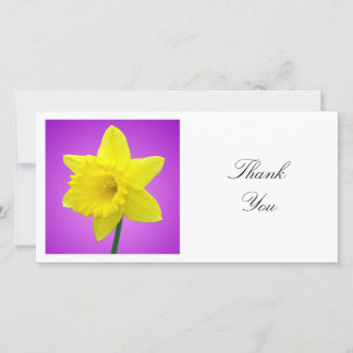 Square Foto - Daffodil auf Magenta und Lila Dankeskarte
