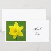 Square Foto - Daffodil Dankeskarte (Vorne/Hinten)