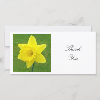 Square Foto - Daffodil Dankeskarte