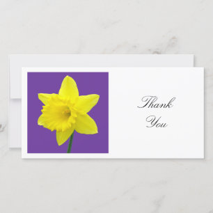 Square Foto - Daffodin auf Lila Dankeskarte