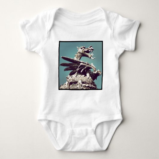 Square Foto - Dragon Baby Strampler (Vorderseite)