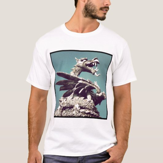 Square Foto - Dragon T-Shirt (Vorderseite)