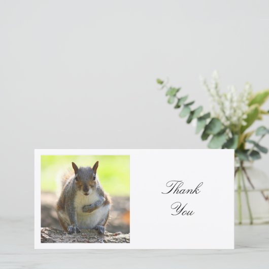 Square Foto - Eichhörnchen Dankeskarte (Stehend Vorderseite)