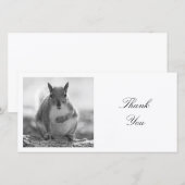 Square Foto - Eichhörnchen - Schwarz/Weiß Dankeskarte (Vorne/Hinten)