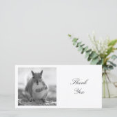 Square Foto - Eichhörnchen - Schwarz/Weiß Dankeskarte (Stehend Vorderseite)