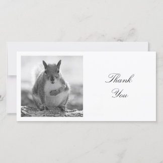 Square Foto - Eichhörnchen - Schwarz/Weiß Dankeskarte