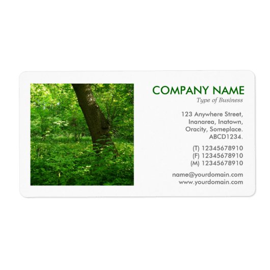 Square Foto - Frühjahr im Wald (Vorne)