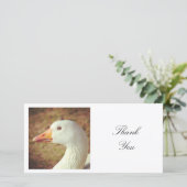 Square Foto - Gänse Dankeskarte (Stehend Vorderseite)