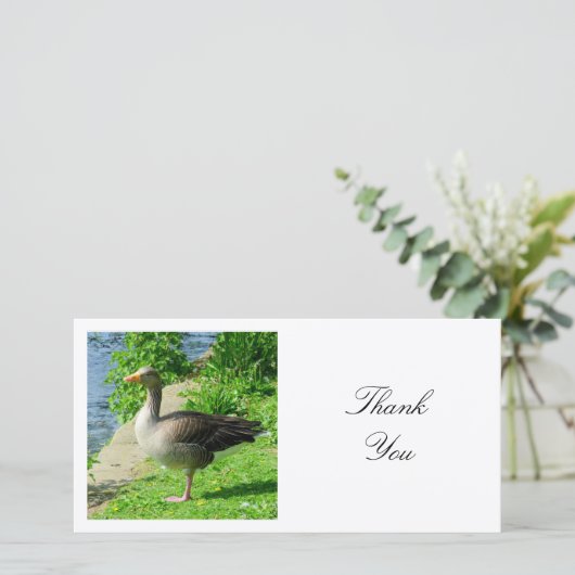 Square Foto - Graugans Dankeskarte (Stehend Vorderseite)