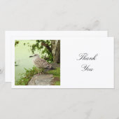 Square Foto - Gull Dankeskarte (Vorne/Hinten)