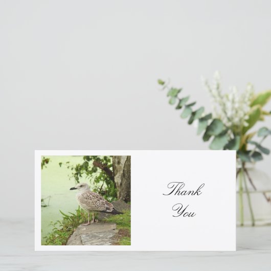 Square Foto - Gull Dankeskarte (Stehend Vorderseite)